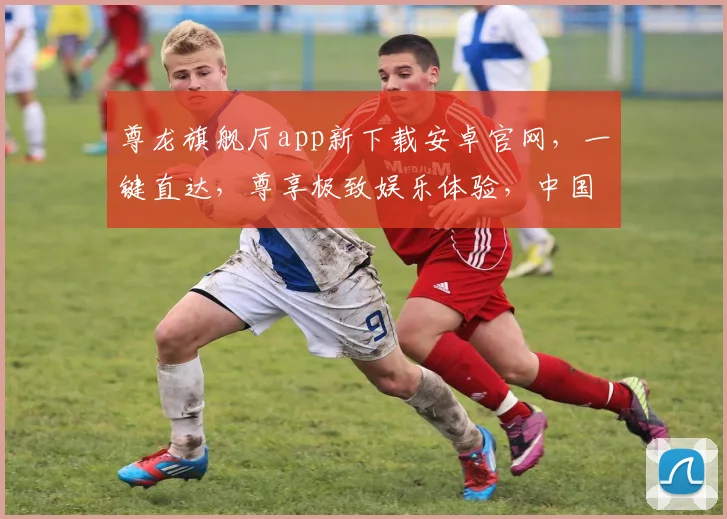 尊龙旗舰厅app新下载安卓官网，一键直达，尊享极致娱乐体验，中国玩家首选逗逗乐