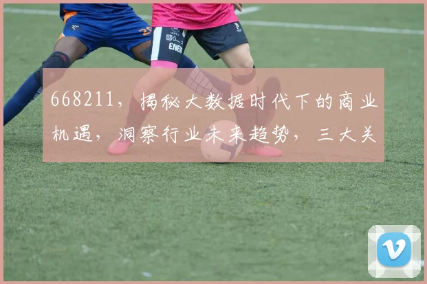 668211，揭秘大数据时代下的商业机遇，洞察行业未来趋势，三大关键点解析，不容错过